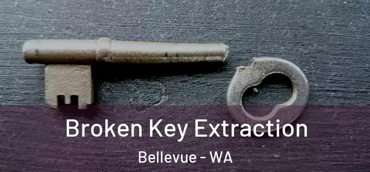  Broken Key Extraction Bellevue - WA