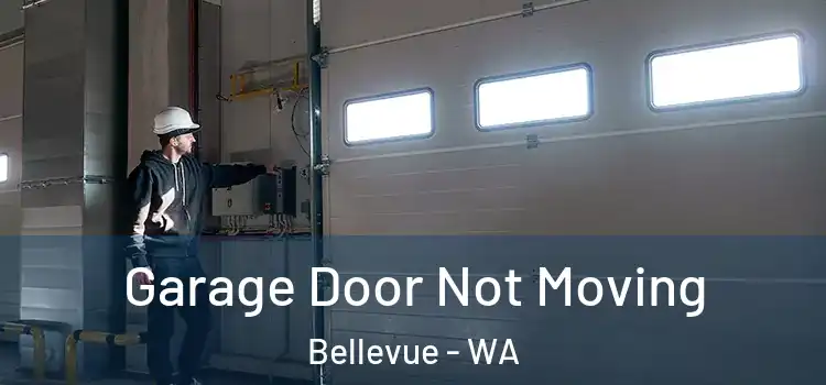  Garage Door Not Moving Bellevue - WA