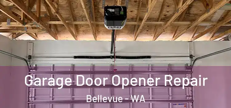  Garage Door Opener Repair Bellevue - WA