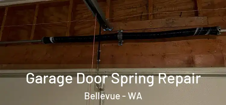  Garage Door Spring Repair Bellevue - WA