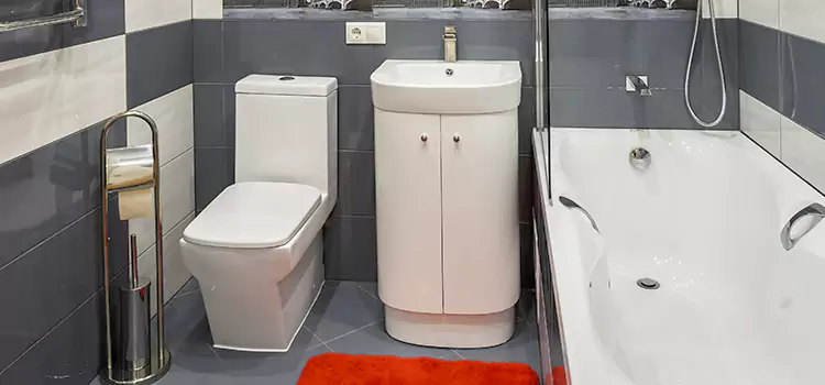 Hansgrohe Shaving Mirror Bellevue