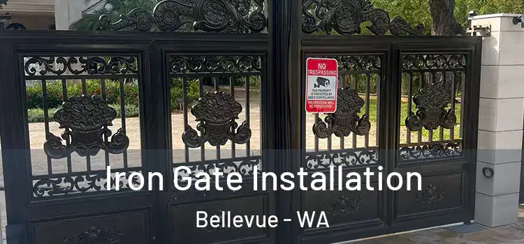  Iron Gate Installation Bellevue - WA