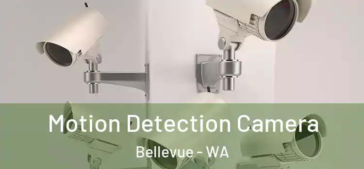  Motion Detection Camera Bellevue - WA