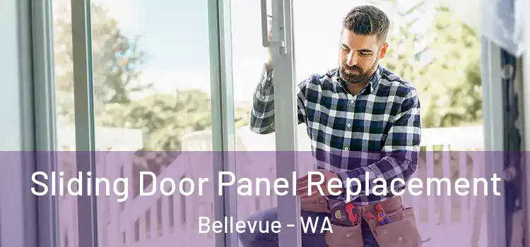  Sliding Door Panel Replacement Bellevue - WA
