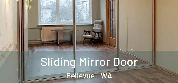  Sliding Mirror Door Bellevue - WA